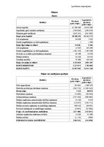 Referāts 'AS "Amo Plant" rentabilitātes analīze', 13.