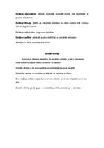 Konspekts 'Kultūra un sabiedrība, vērtības, normas', 4.