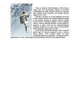 Referāts 'Zeme', 5.