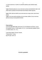 Konspekts 'Latvijas valsts simboli un apbalvojumi', 17.