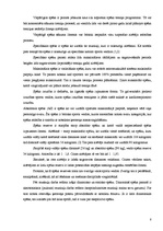 Referāts 'Spēka un līdzsvara būtība airēšanā', 8.