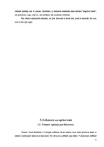 Referāts 'Spēka un līdzsvara būtība airēšanā', 11.