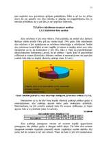 Referāts 'Uzņēmuma "Cēsu alus" mārketinga vides un stratēģijas analīze un darbības plānoša', 13.