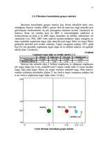 Referāts 'Uzņēmuma "Cēsu alus" mārketinga vides un stratēģijas analīze un darbības plānoša', 17.