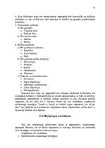 Referāts 'Uzņēmuma "Cēsu alus" mārketinga vides un stratēģijas analīze un darbības plānoša', 28.