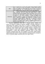 Referāts 'Uzņēmuma "Cēsu alus" mārketinga vides un stratēģijas analīze un darbības plānoša', 37.