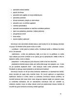 Referāts 'Darbinieku motivācija', 19.