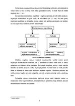 Referāts 'Darbaspēka emigrācijas ietekme uz ekonomisko situāciju Latvijā', 6.