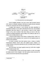 Referāts 'Darbaspēka emigrācijas ietekme uz ekonomisko situāciju Latvijā', 11.