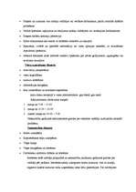 Konspekts '2* viesnīcu dokumentācija', 5.