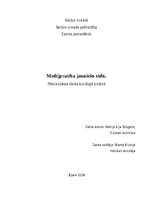 Referāts 'Medijpratība jauniešu vidū', 1.