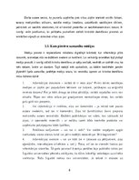 Referāts 'Medijpratība jauniešu vidū', 8.