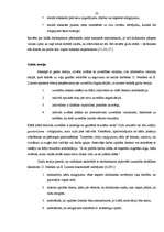 Diplomdarbs 'Motivācijas pilnveide SIA "Pasaka"', 20.