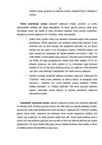 Diplomdarbs 'Motivācijas pilnveide SIA "Pasaka"', 59.