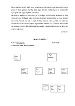 Konspekts 'Gadījuma vadīšana sociālajā darbā', 6.