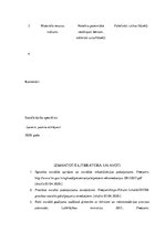 Konspekts 'Gadījuma vadīšana sociālajā darbā', 20.