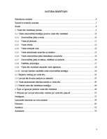 Diplomdarbs 'Latvijas tēls pasaulē no 1990. līdz 2007.gadam', 3.