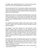 Diplomdarbs 'Latvijas tēls pasaulē no 1990. līdz 2007.gadam', 23.