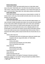 Konspekts 'Tiesību saimes un tiesiskā sistēma', 2.