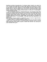 Eseja 'Andreja Granta izstāde "Fotogrāfijas 1980. - 2010."', 2.