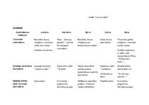 Konspekts 'Audzināšanas darba plāns', 4.