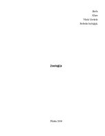 Referāts 'Zooloģija', 1.