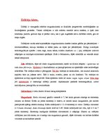 Referāts 'Zooloģija', 3.