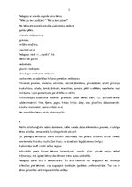 Referāts 'Patstāvīgais darbs pirmsskolas un sākumskolas pedagoģijā', 5.