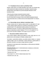 Prakses atskaite 'Prakses atskaite', 17.