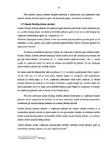 Prakses atskaite 'Prakses atskaite', 20.