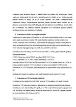 Prakses atskaite 'Prakses atskaite', 23.