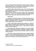 Referāts 'Dienvidslāvijas sabrukuma galvenās problēmas', 8.