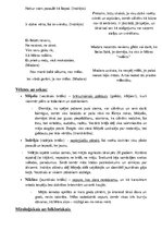 Konspekts 'Dubultā dienasgrāmata. "Pilna Māras istabiņa"', 3.