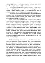 Diplomdarbs 'Medicīnas tūrisma iespēju ietekme uz pakalpojumu saņemšanas uzlabošanu', 8.