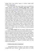 Diplomdarbs 'Medicīnas tūrisma iespēju ietekme uz pakalpojumu saņemšanas uzlabošanu', 25.