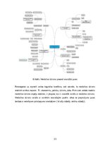 Diplomdarbs 'Medicīnas tūrisma iespēju ietekme uz pakalpojumu saņemšanas uzlabošanu', 33.