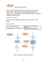 Diplomdarbs 'Medicīnas tūrisma iespēju ietekme uz pakalpojumu saņemšanas uzlabošanu', 43.