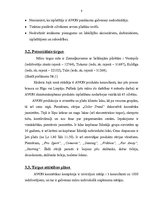 Biznesa plāns 'Biznesa plāns "Avon"', 8.