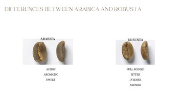 Konspekts 'THE ORIGIN OF COFFEE', 4.