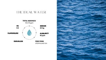 Konspekts 'THE ORIGIN OF COFFEE', 8.