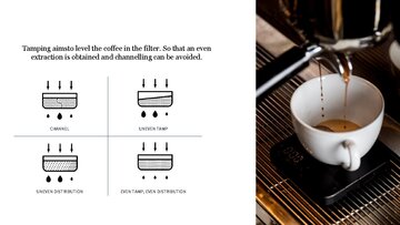 Konspekts 'THE ORIGIN OF COFFEE', 14.