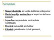 Prezentācija 'Sirreālisms', 3.