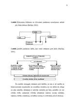 Diplomdarbs 'Apmierinātība ar darbu ', 12.