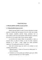 Diplomdarbs 'Apmierinātība ar darbu ', 33.