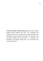 Diplomdarbs 'Apmierinātība ar darbu ', 46.