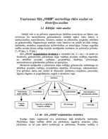 Referāts 'Uzņēmuma SIA "Somu Māja Inženieru Birojs" mārketinga vides un stratēģijas analīz', 6.