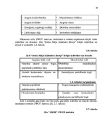 Referāts 'Uzņēmuma SIA "Somu Māja Inženieru Birojs" mārketinga vides un stratēģijas analīz', 28.