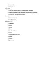 Konspekts 'Kravu iedalījums', 3.