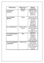 Referāts 'Garšvielas un garšaugi', 6.