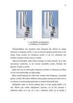 Diplomdarbs 'Būvkomercsabiedrības ekonomiskās efektivitātes paaugstināšanas iespējas', 55.